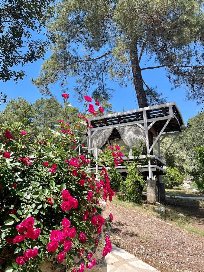 Отель Angels Garden Kumluca Экстерьер фото